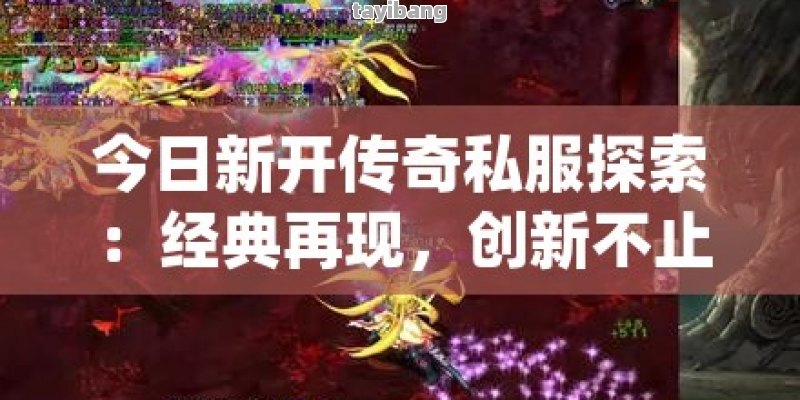 玩家评价